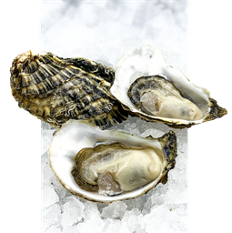 L'Huître Traditionnelle de Thau